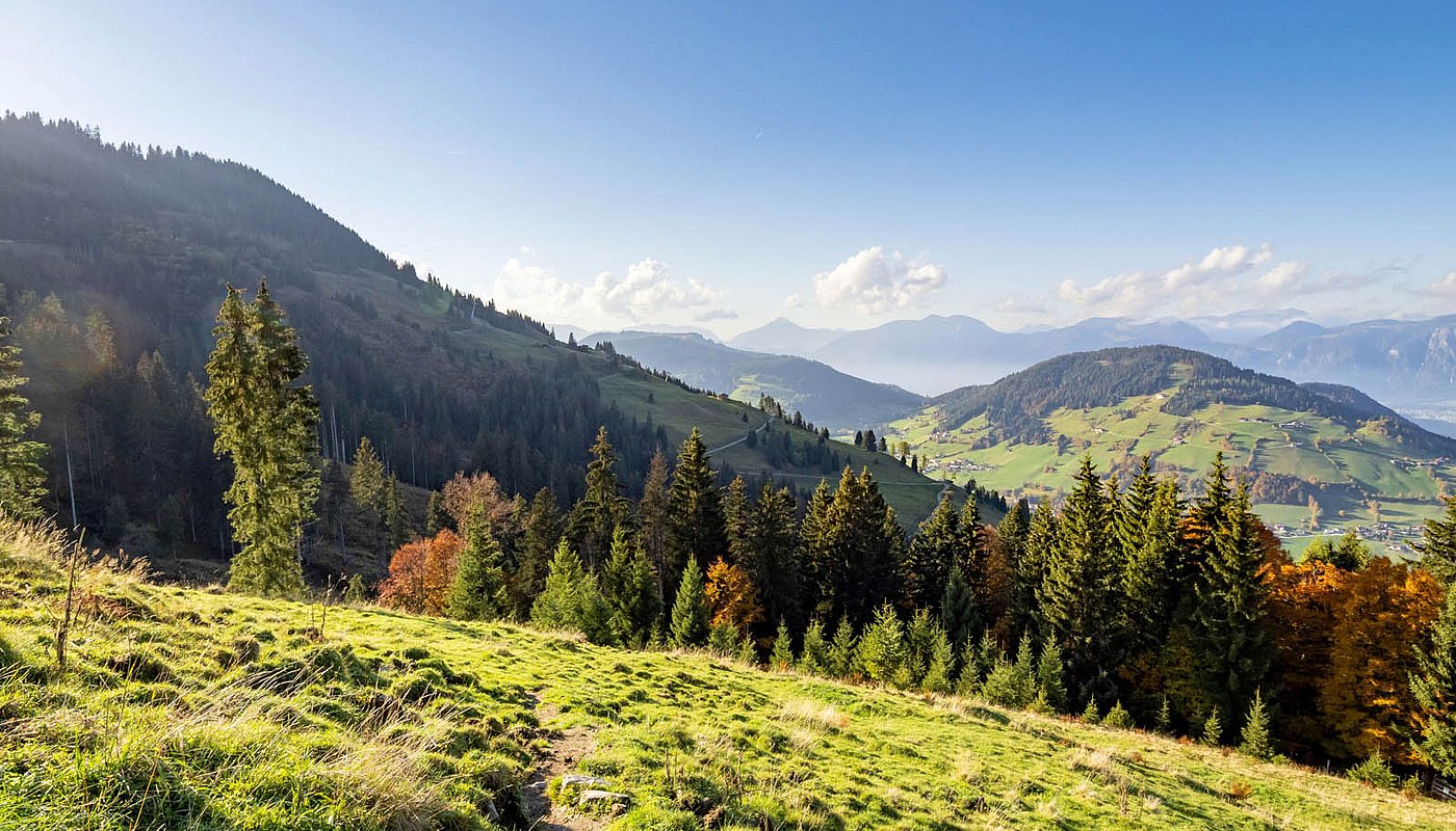 View over forested mountain slopes and valleys with clear sky and distant mountain panorama